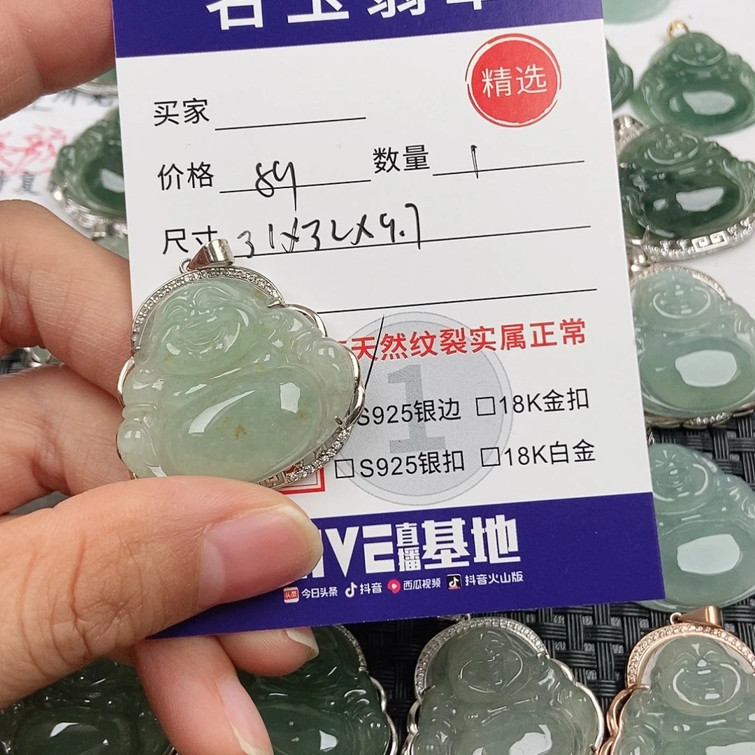 翡翠银S925镶嵌颈饰