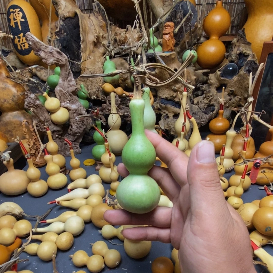 木天津嘴青皮手捻葫芦