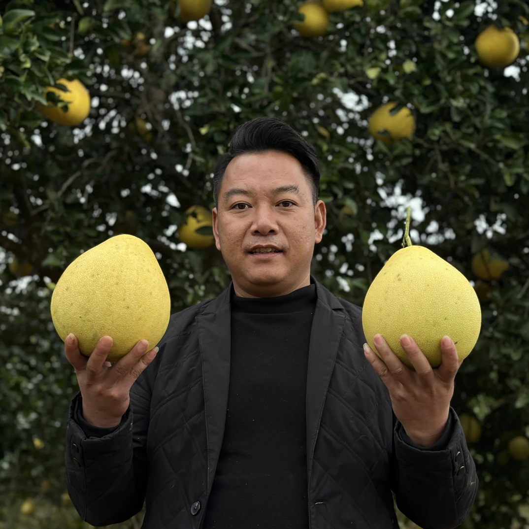 敬泽山货现收新鲜包邮