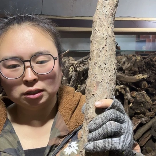 香榧木天*～火琉璃的毛料摆件