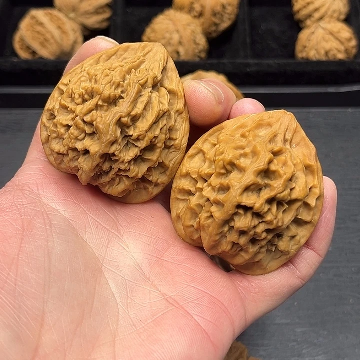 核桃秦岭突突突突突突突突