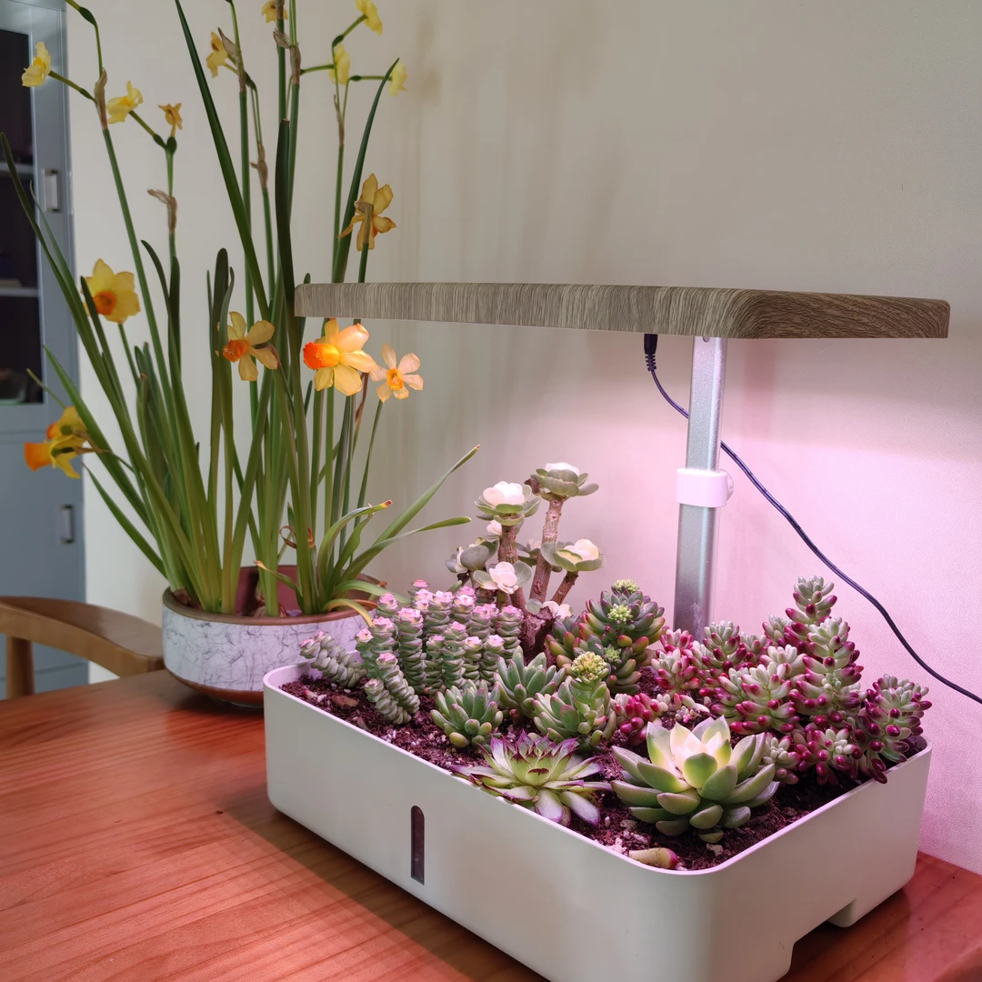 智能水培蔬菜花卉种植机 桌面微景观多肉种植箱