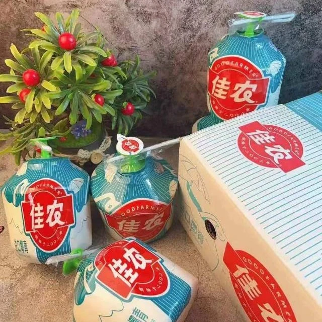 佳农椰青易开九头装