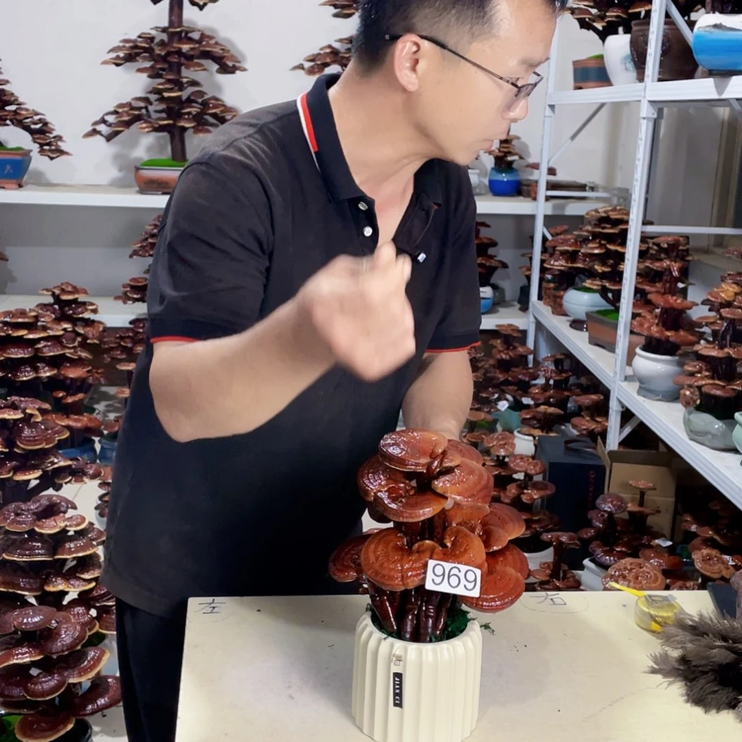 全部花朵嘉*969000000000000000000