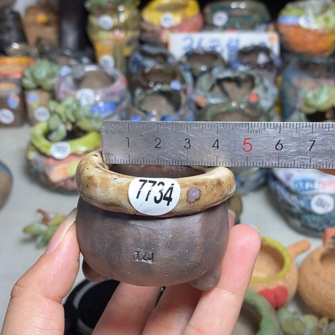 拍3送一个小礼物
