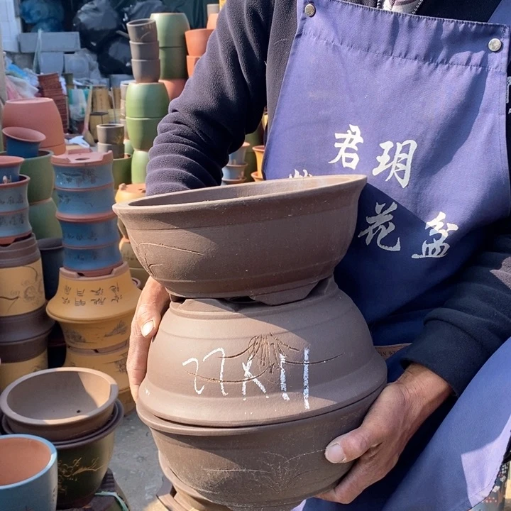 紫砂花盆盆栽花卉苗木种植