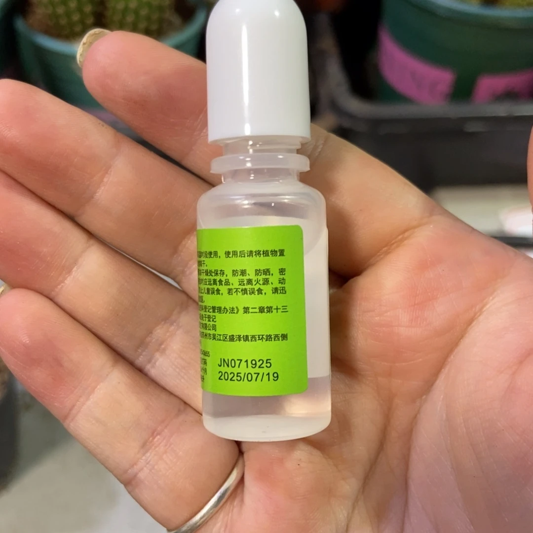 仙人球暴牙素一瓶