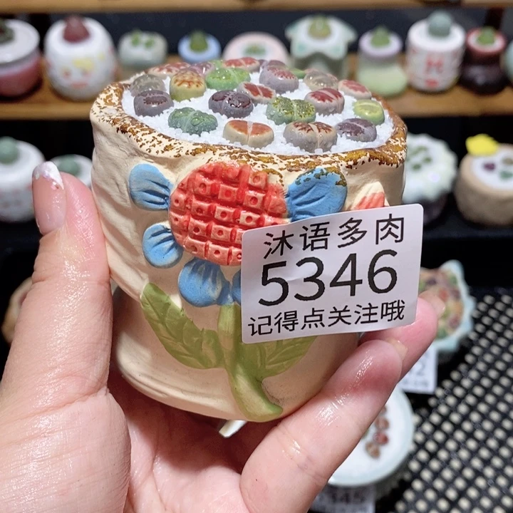 带盆土植物 一物一拍5346