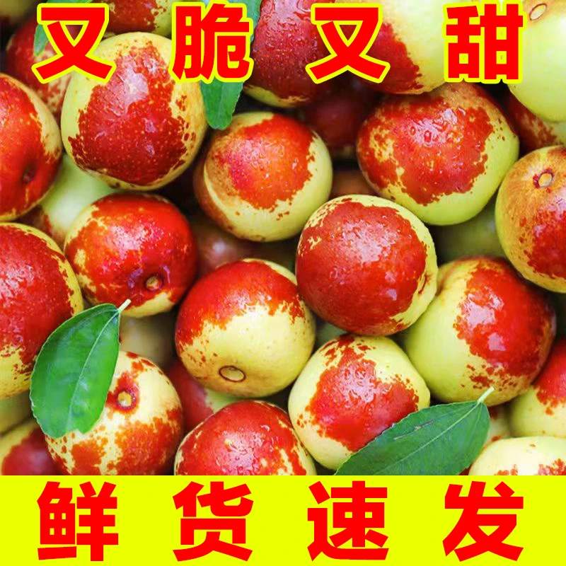 【真实惠】正宗沾化冬枣脆甜冬枣新鲜水果鲜枣大枣应季脆枣