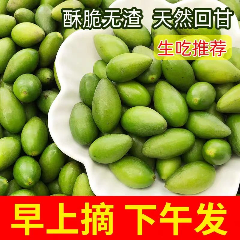 潮汕金灶本地青枣脆橄榄青橄榄纯天然槟榔生吃煲汤榨汁生吃一斤装