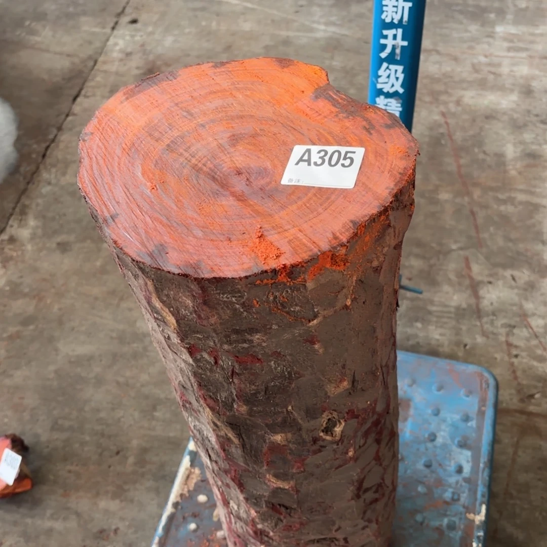 张***雨一物一拍血檀编码305