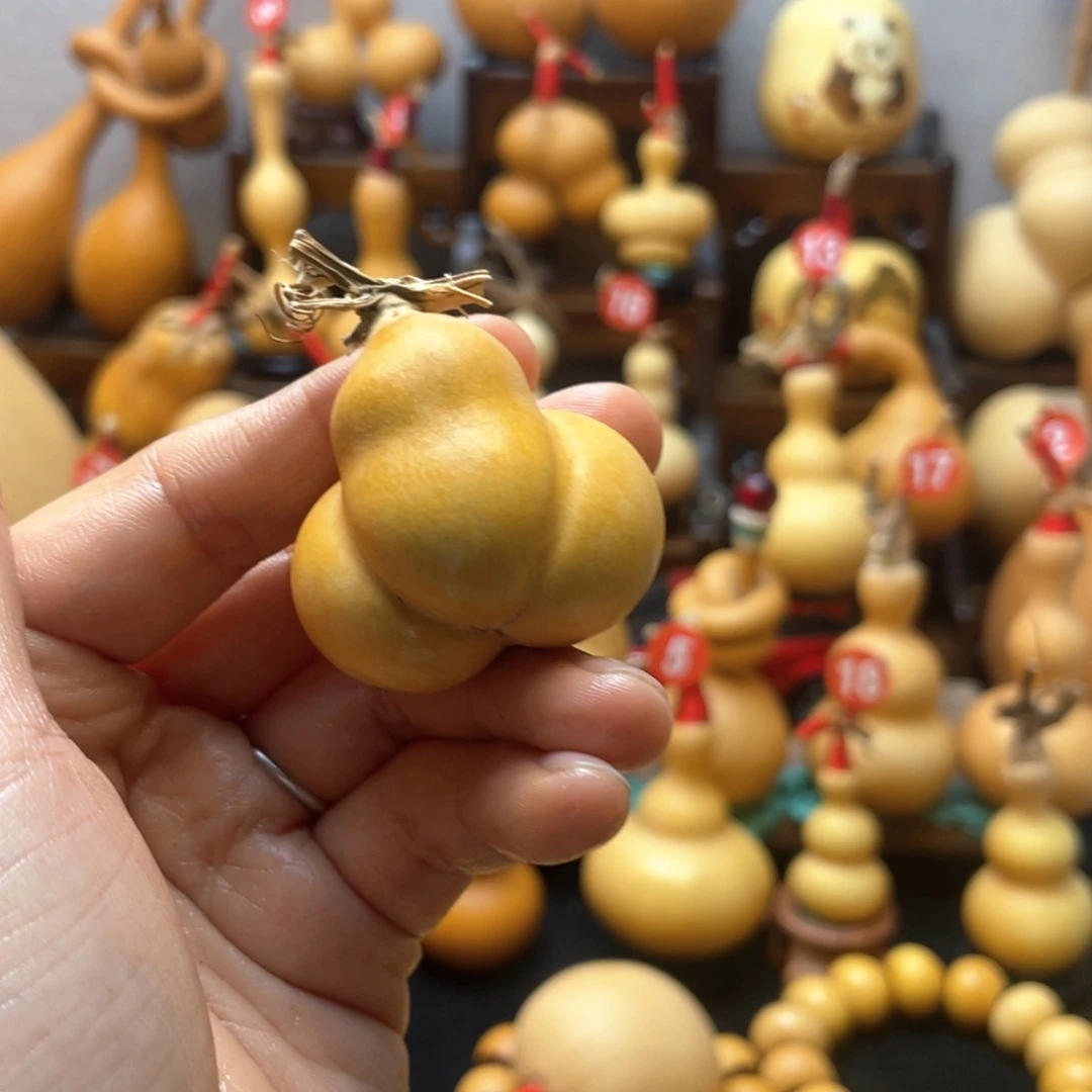 龙*头大自然的秘密是什么呢我也