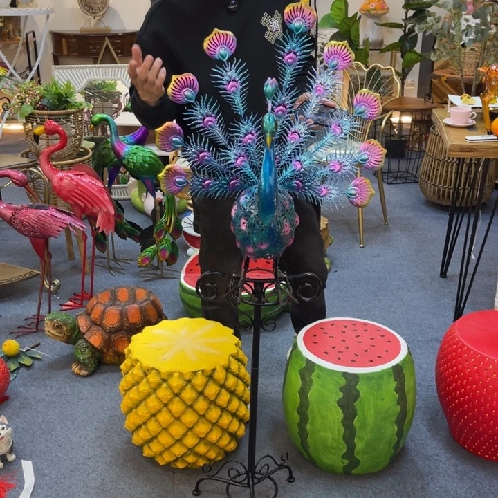 哈哈哈哈哈哈哈哈孔雀