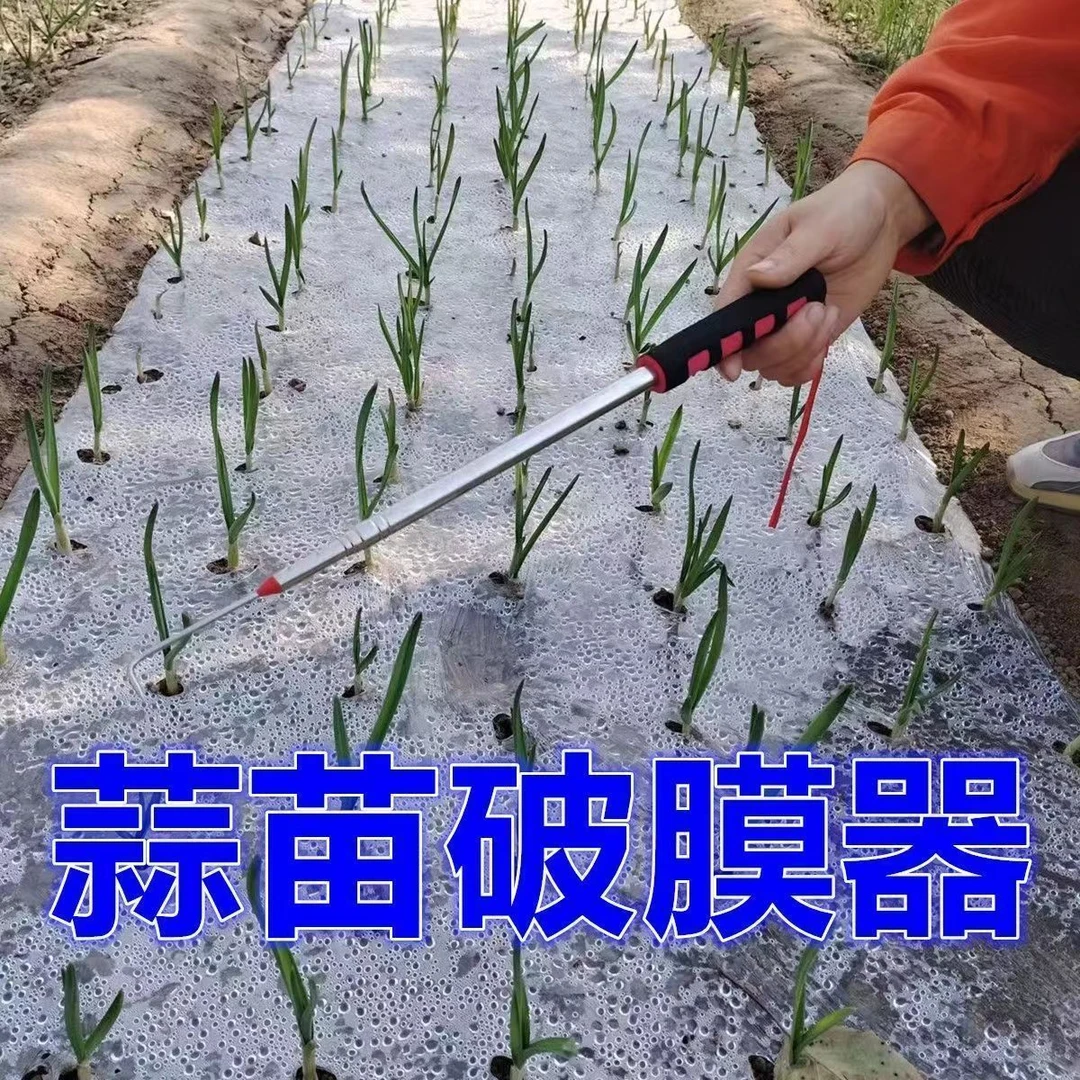 不锈钢伸缩蒜钩子大蒜出苗神器地膜钩蒜苗钩挑蒜工具