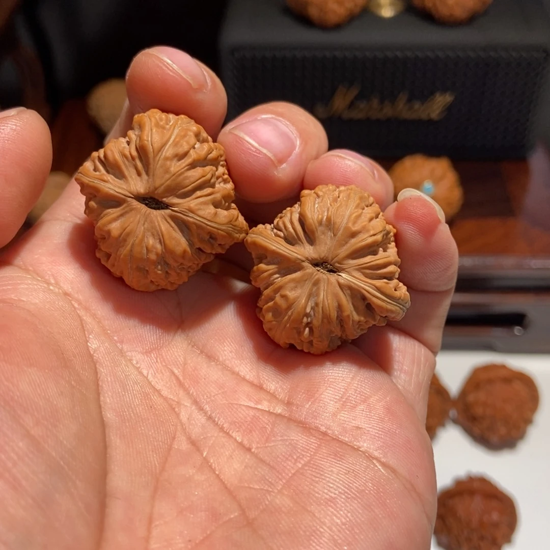 手串/手链核桃阿*四座楼30