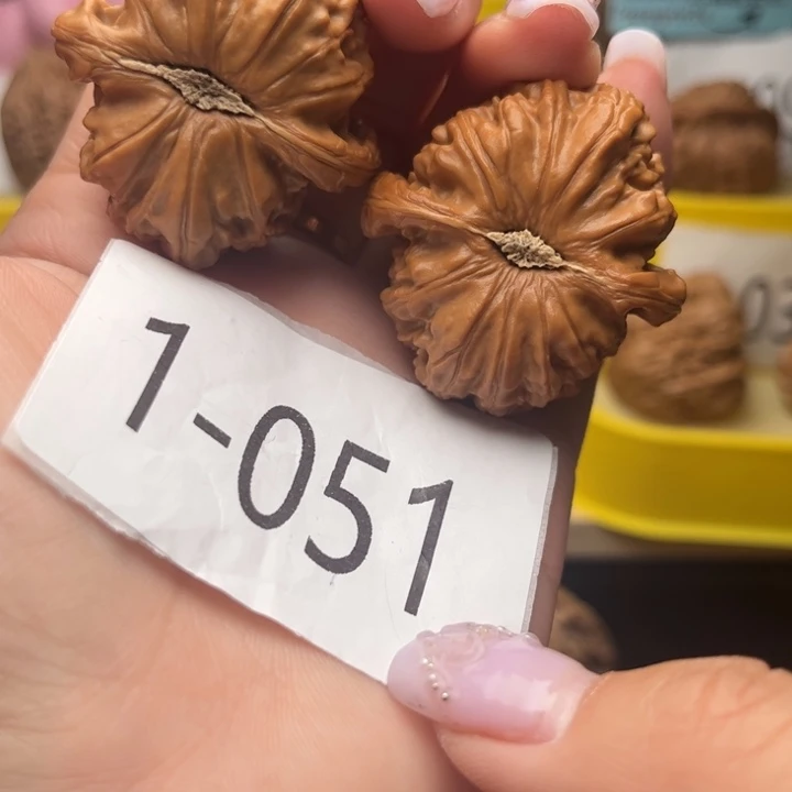 文玩核桃把件41白狮子1051