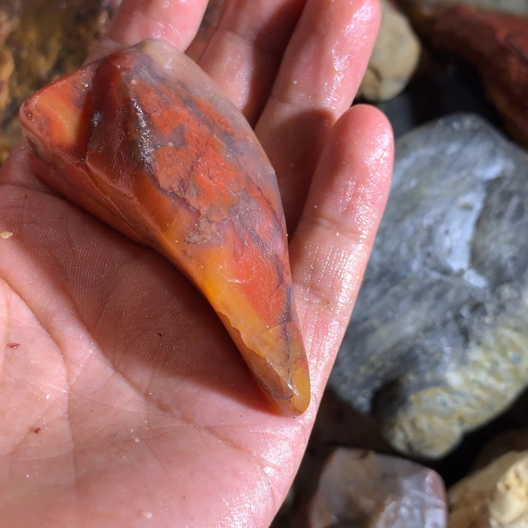 明***哥寿山石88888888888888