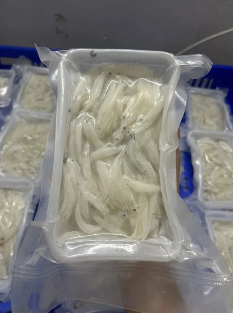 【银鱼】广东惠来神泉野生新鲜银鱼200克/盒 4盒