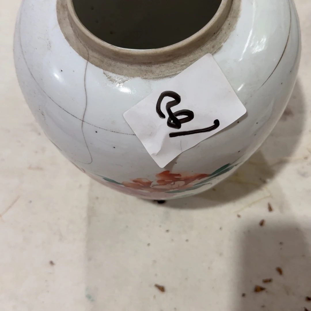 叶***杂色豆（科檀/科特迪瓦檀木）