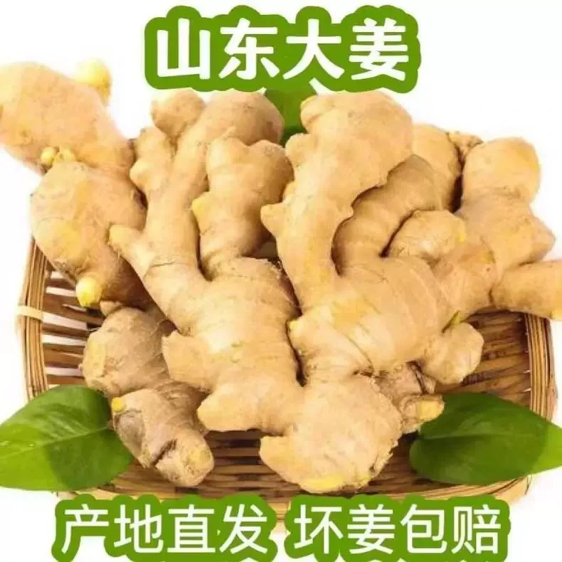 山东生姜大黄姜精选大块风干无泥产地直发