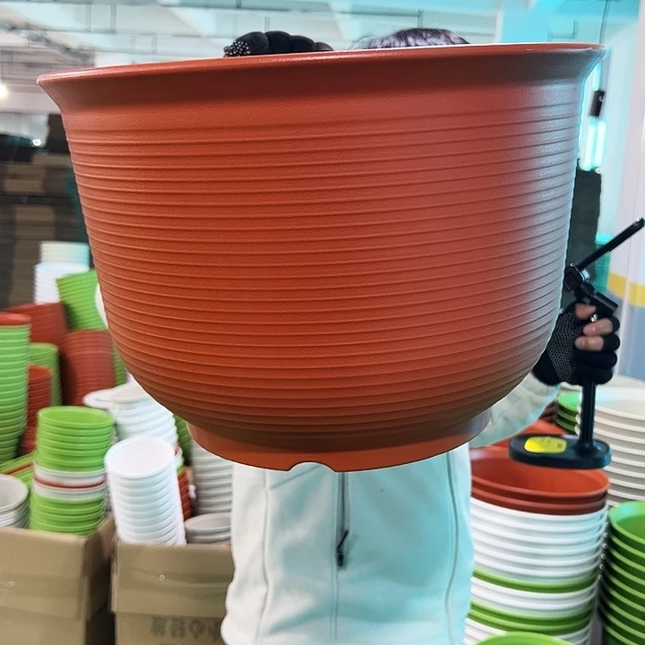 正品矮陶口36高25白色3个无托