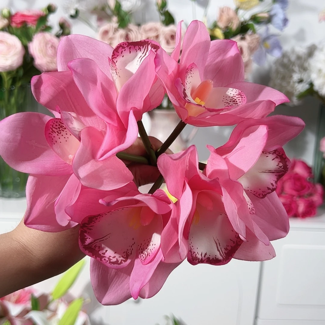 粉色手感保湿慧兰花