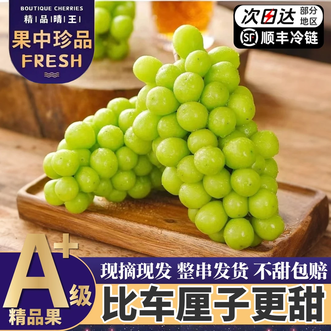 顺丰【5斤果王】次日达阳光玫瑰晴王葡萄新鲜美味头茬脆甜爽口Z