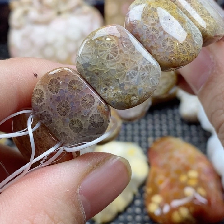 硅化珊瑚（珊瑚玉）颈饰未镶嵌