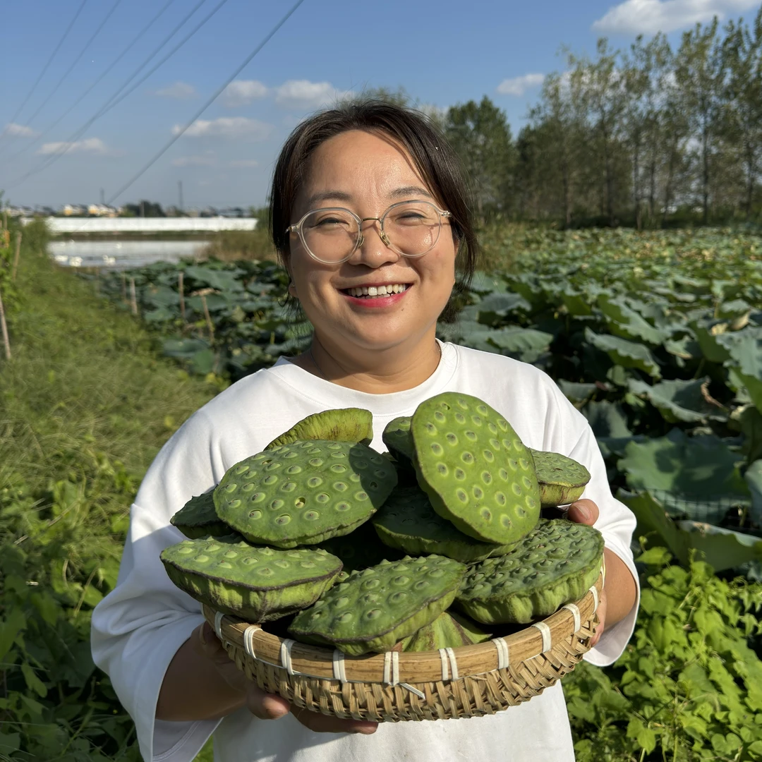 【新鲜莲蓬】新鲜采摘 手剥生吃 清脆鲜甜 莲心微苦 好吃健康