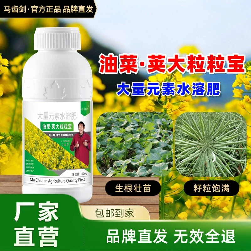 【买一送一】马齿剑油菜荚大粒粒宝促花授粉籽粒饱满大量元素水溶肥