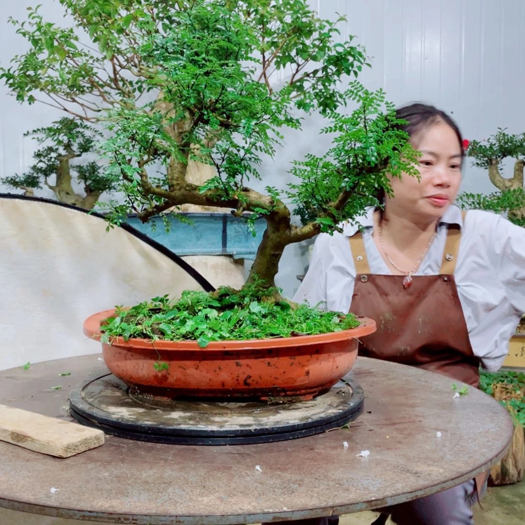 嗨***来无花朵胡椒木胡椒木胡椒木