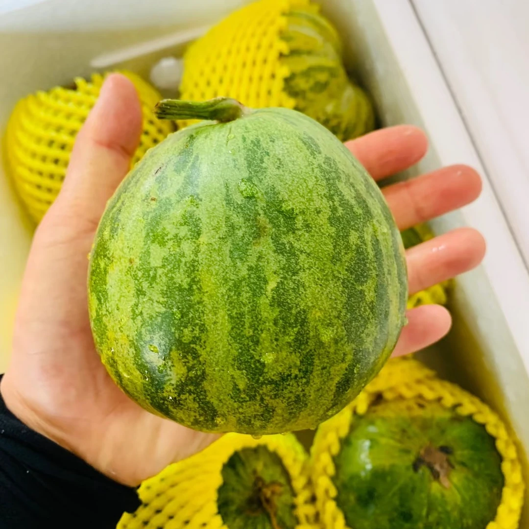 甜甜圈香瓜 2枚装