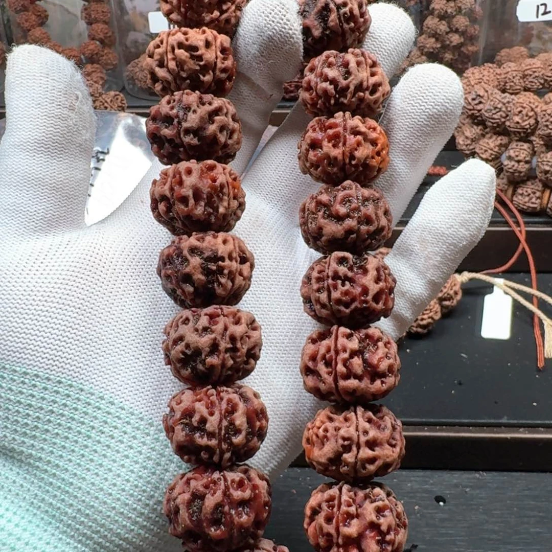 金刚菩提手串@*虎23矮桩粗筋梅花662号