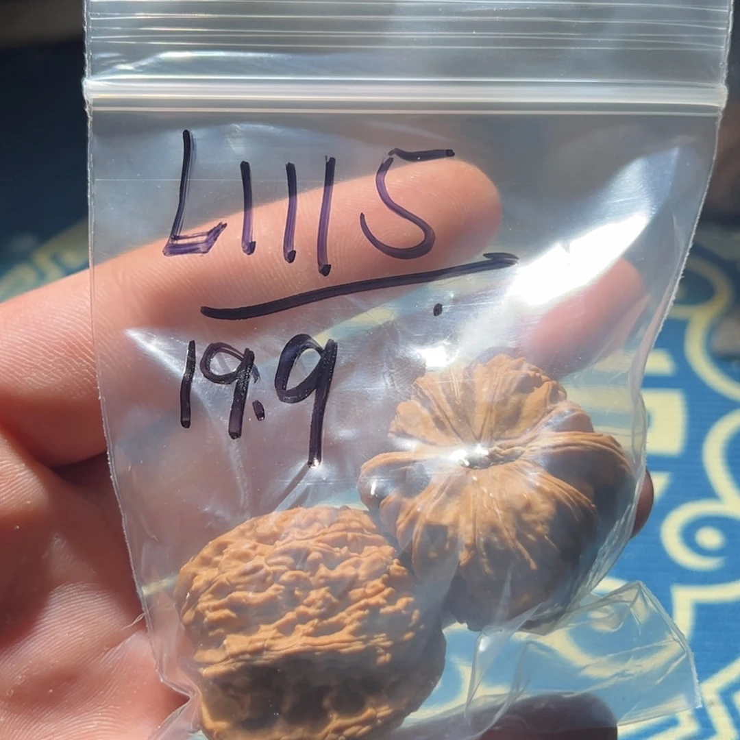 文玩核桃吊坠黑***）白狮子