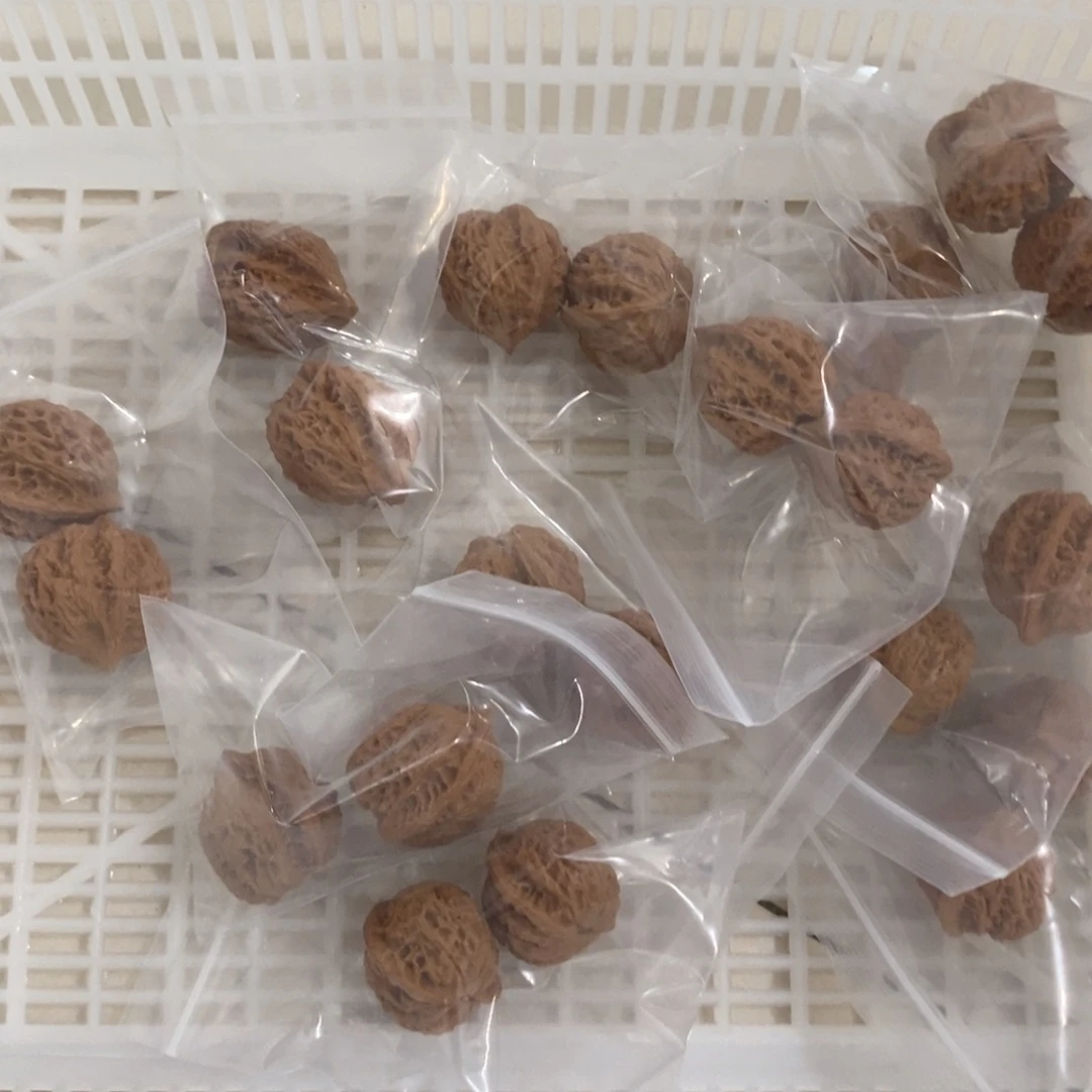 文玩核桃吊坠朱雀