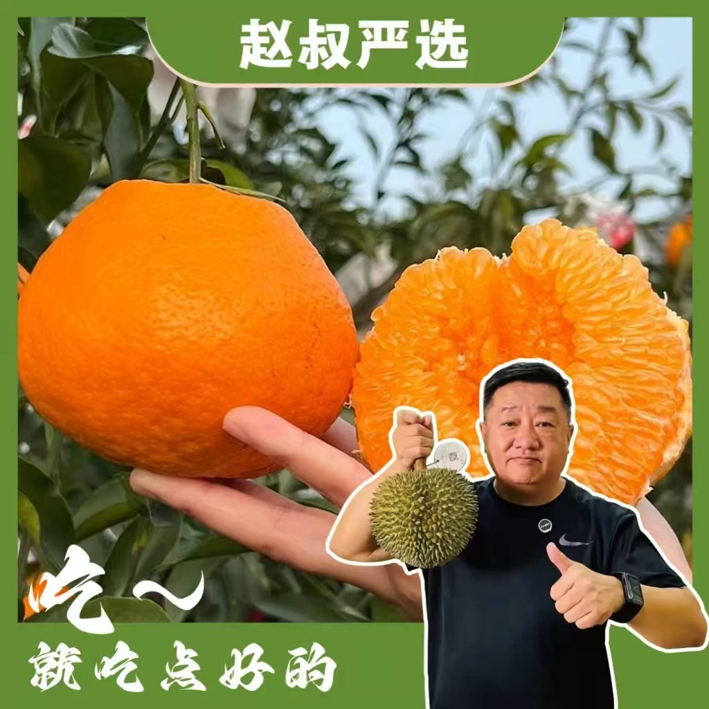 【赵叔严选】四川春见耙耙柑 薄皮当季水果 柑橘粑粑柑