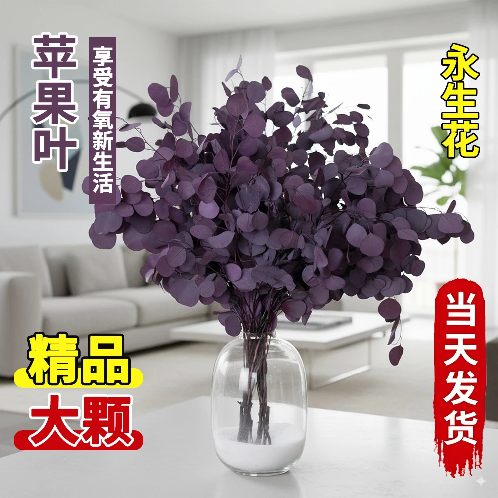 桌面款苹果尤加利叶干花永生保鲜花客厅网红插花装饰基地直发好养