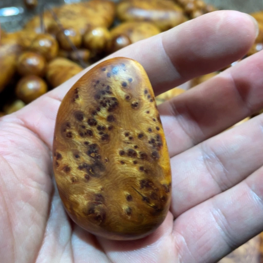 柏木（崖柏）其他把