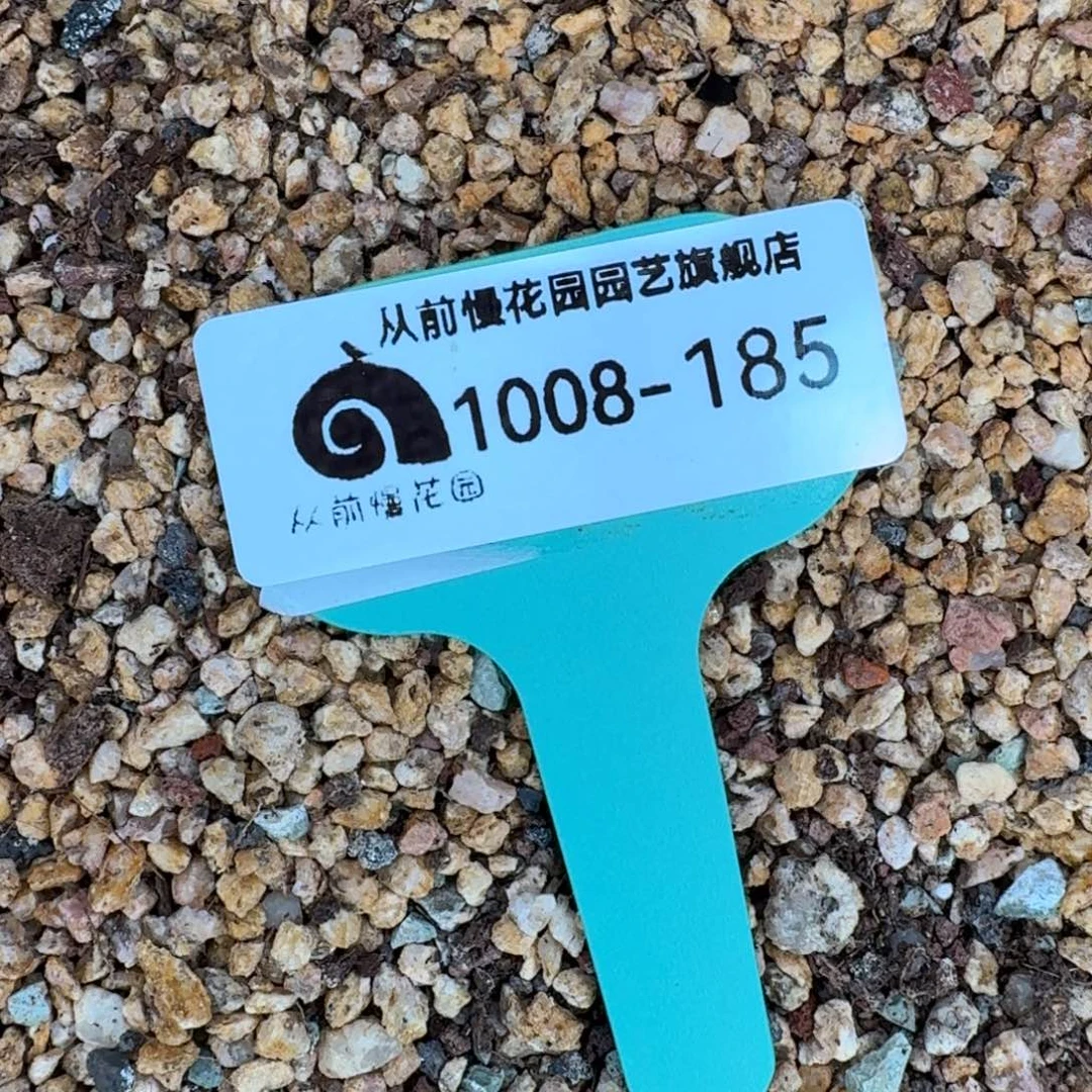 努***呀从前慢多肉精选长1008.185