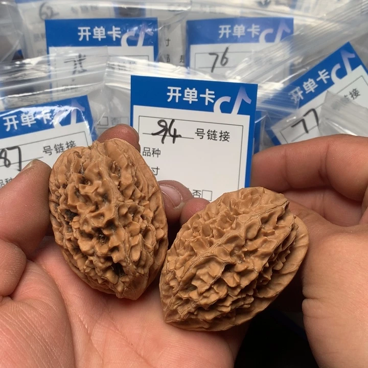 文玩核桃把件37招财94