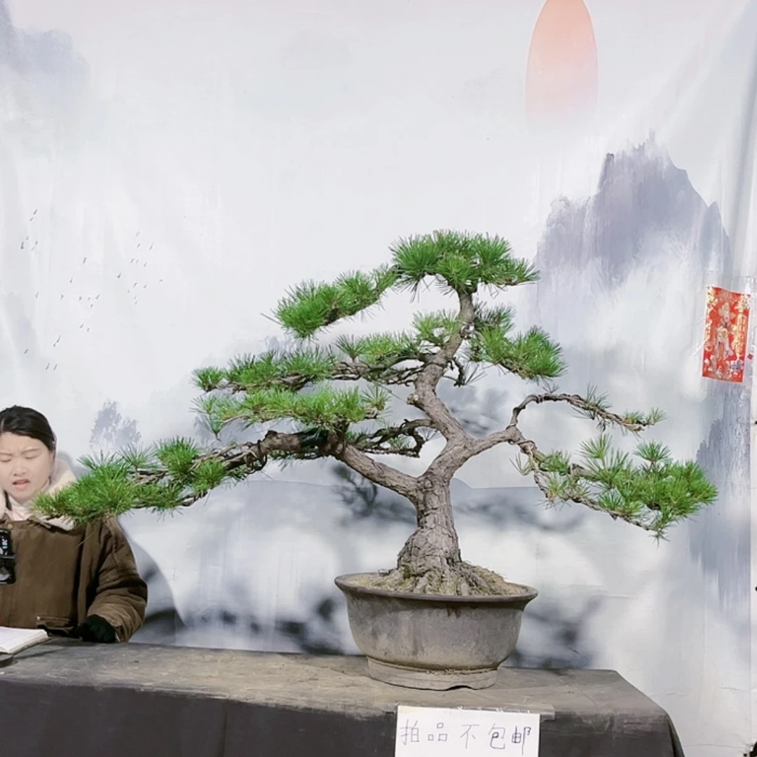 【闪购商品】无花朵运费到付