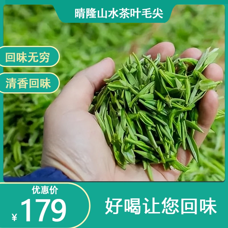 晴隆山水茶叶欲飞牌绿茶毛尖