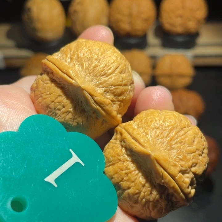 龙珠34尺寸核桃。