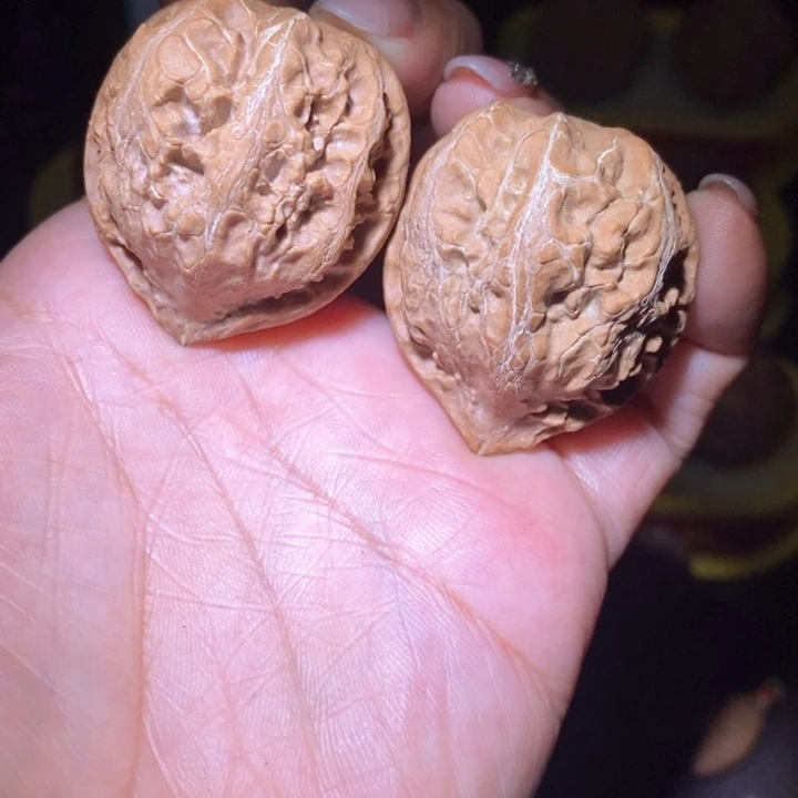 文玩核桃把件东北野生楸子小美56