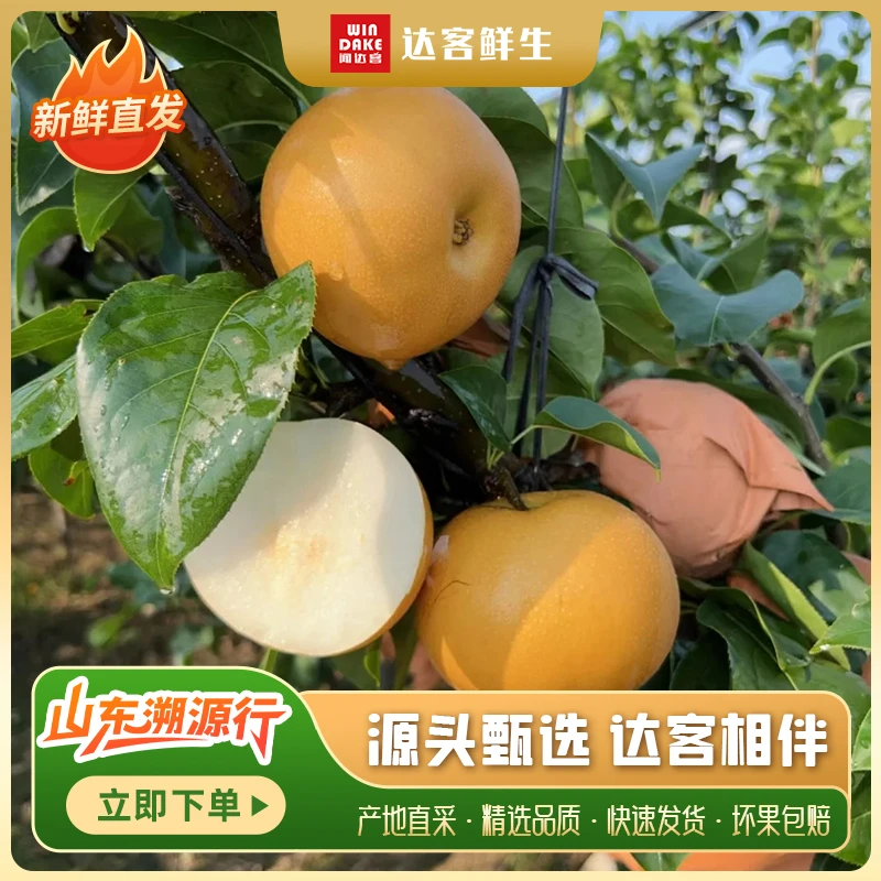 秋月梨  4.5斤/份
