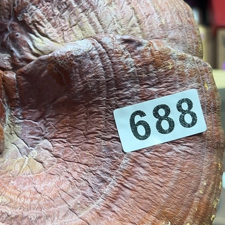 樊***店大果紫檀（缅甸花梨）688