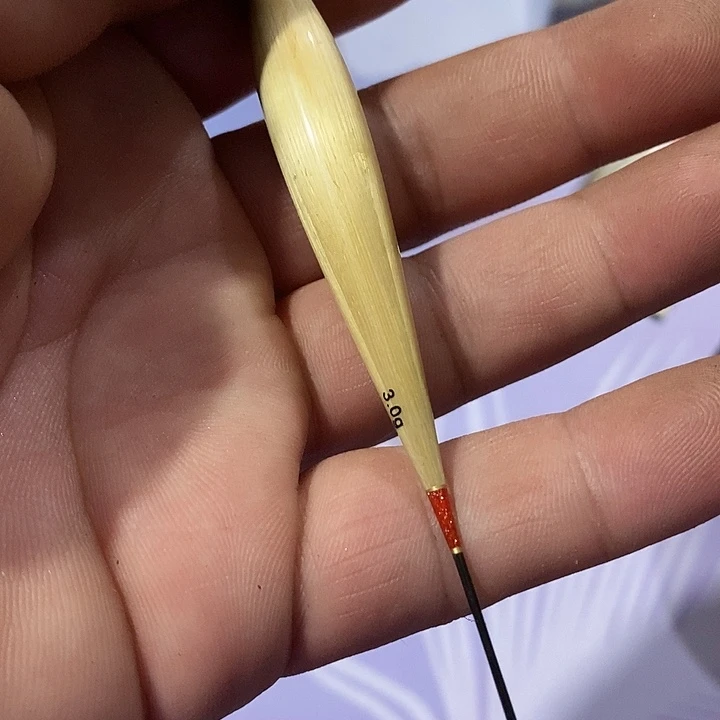 台钓王芦苇六十长一单一个