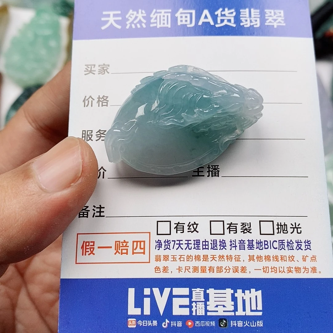 小***飞翡翠未镶嵌颈饰龙龟