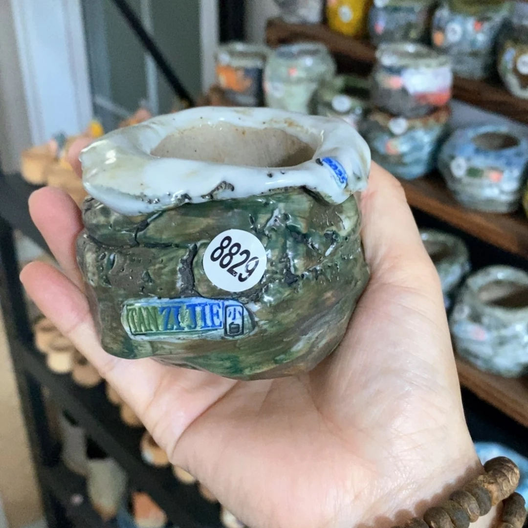 拍2送一个小礼物