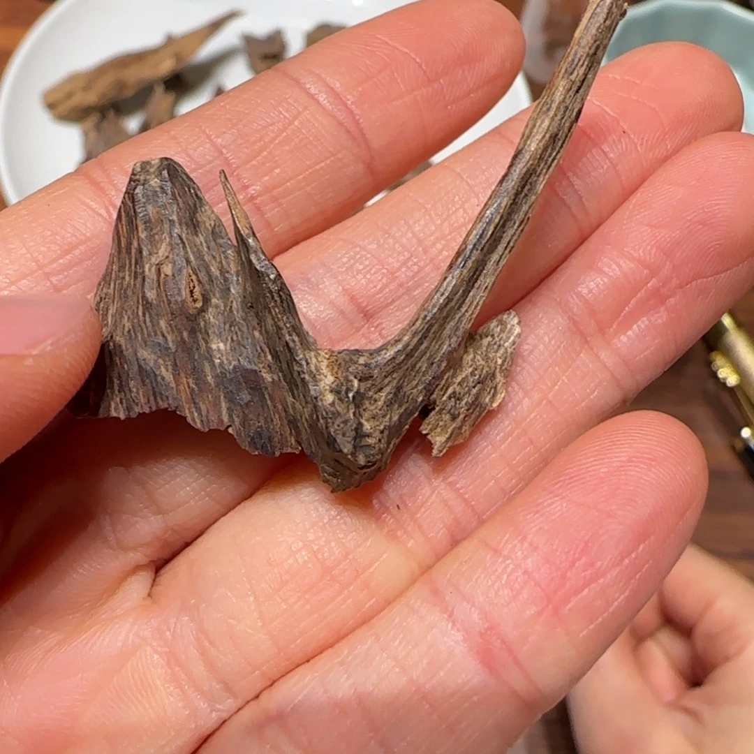 沉香沉香碎屑沉香老虫漏1克